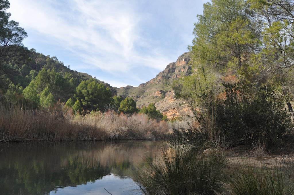 شقة El Palomar De Peñarrubia الغرفة الصورة